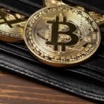 Лучшие Bitcoin-кошельки 2026: полный гид по выбору, сравнение и экспертные оценки